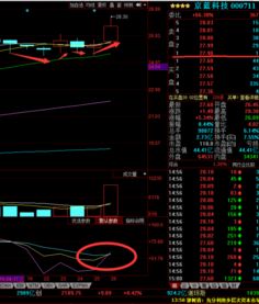 京蓝科技（000711）重磅消息流出 计算机软硬件技术开发迎来新机遇